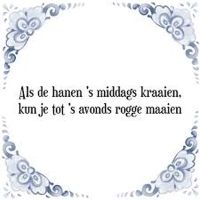 Als de hanen  s middags kraaien  kun je tot  s avonds rogge maaien Als de hanen  s middags kraaien  kun je tot  s avonds rogge maaien